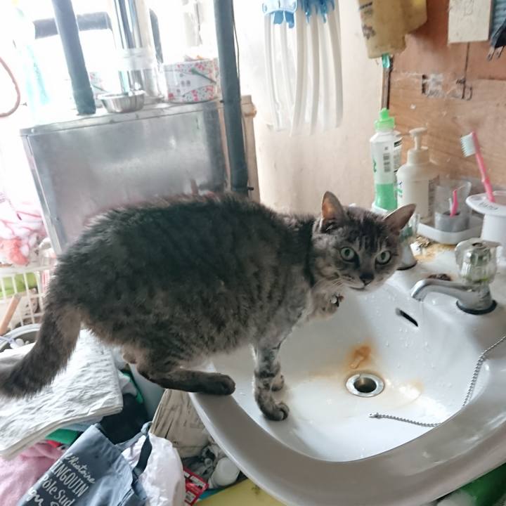 Ddeac150 5469 469f 8d1c c10bcf8e772c 1590564534123