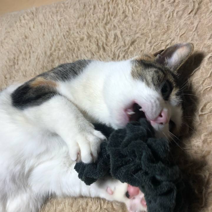 Ddeac895 af51 4a45 93c8 9c2c5531509f 1614964221882