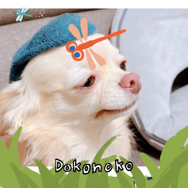 Ddead4d6 4742 480b 8280 0e7bfa83ce29 1726798797691