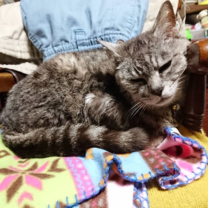 Ddeadb13 aadf 4c9b af75 3871eedd8c0f 1564774758148