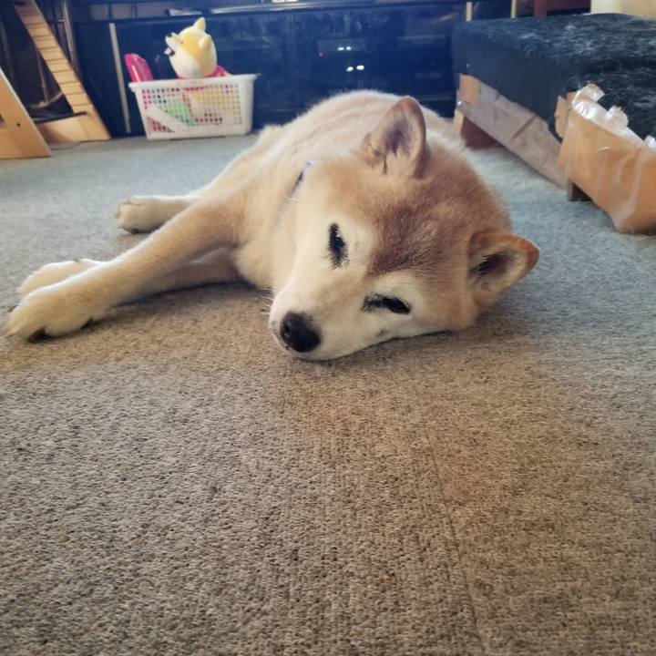 Ddeadfad c6a4 476d 9541 3ac1c8607d6e 1754354565793