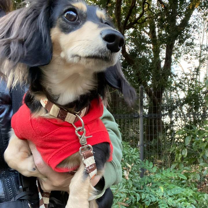 Ddeb0191 08bc 4094 b7d8 41b4e1428bce 1703490269538