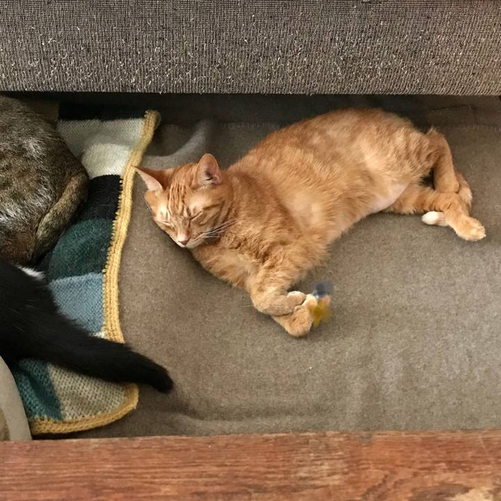 Ddeb5178 376f 4c18 921a 6ef1a7d91a3b 1550153838956