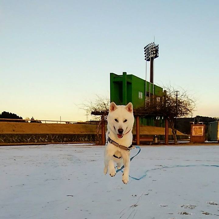 Ddeb821a 9605 4c03 8f24 bfa068bd28c2 1609672259113