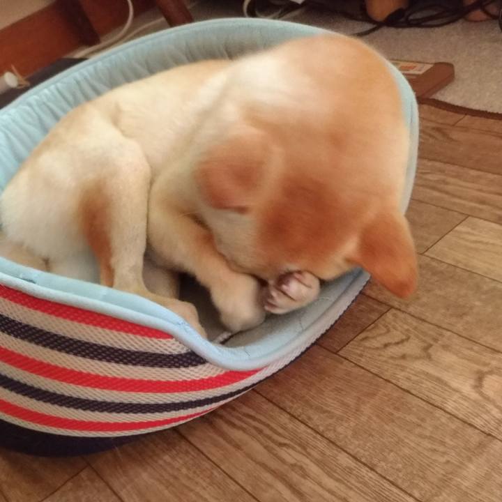 Ddeba34f e874 49b3 8ba6 79681f36db13 1531973145522