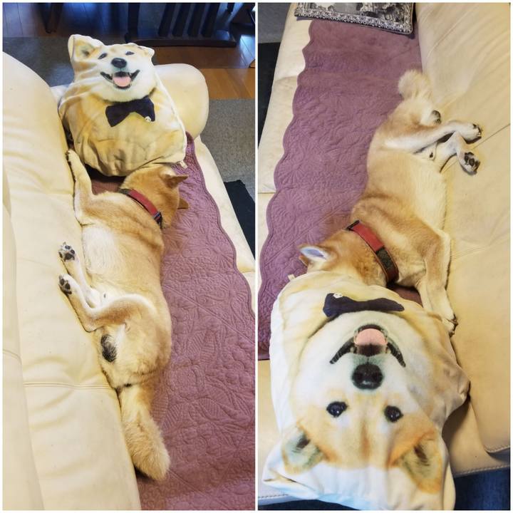 Ddebb103 bc0f 47ec 88a6 da31f4718cee 1758154789777