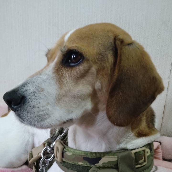 Ddebca97 6089 4133 ac13 30d19e3ec420 1667276391024