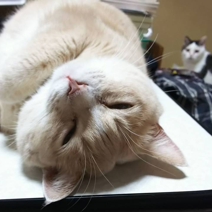 Ddebd8f2 bc84 4ae5 9fc3 a0d17d01b94d 1563884046508