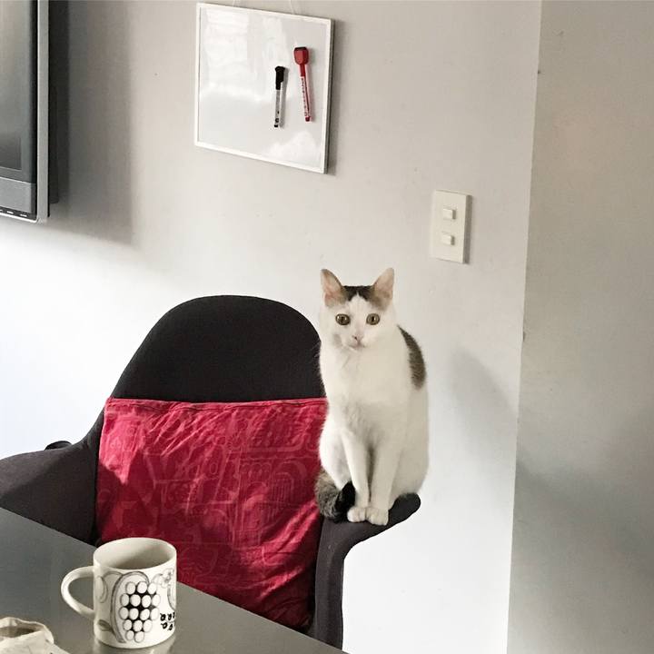 Ddeca864 85f2 4ea8 9d6e 3afc8d4711b6 1509431367286