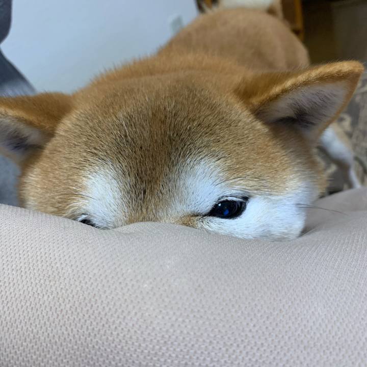 Ddecb01b b2b5 4dd9 bf07 fd8b17615d0e 1581592471199