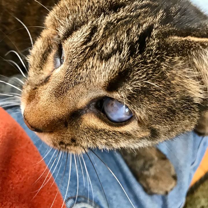 Ddecc868 539e 49f7 a31a 902635f897db 1587781992271