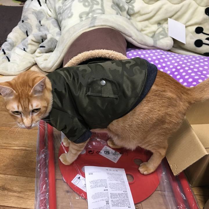 Ddecfff0 97fa 4052 911d 751d386811d7 1514545467868