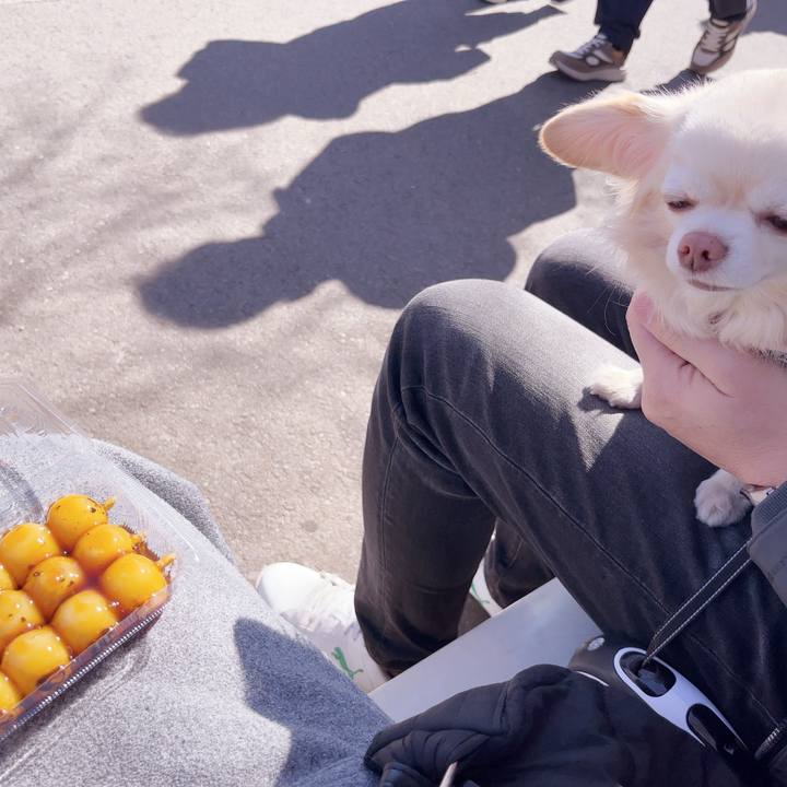 Dded4a26 0a8f 4be6 ae55 ea33e7753d2b 1740368942277