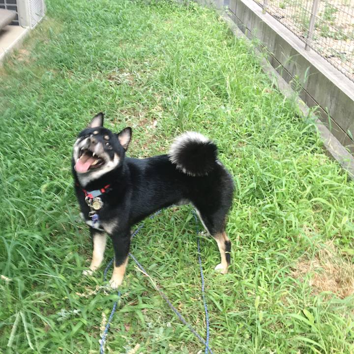 Dded555e 0874 4b3f ba4f 82ebd4527c87 1533814584995