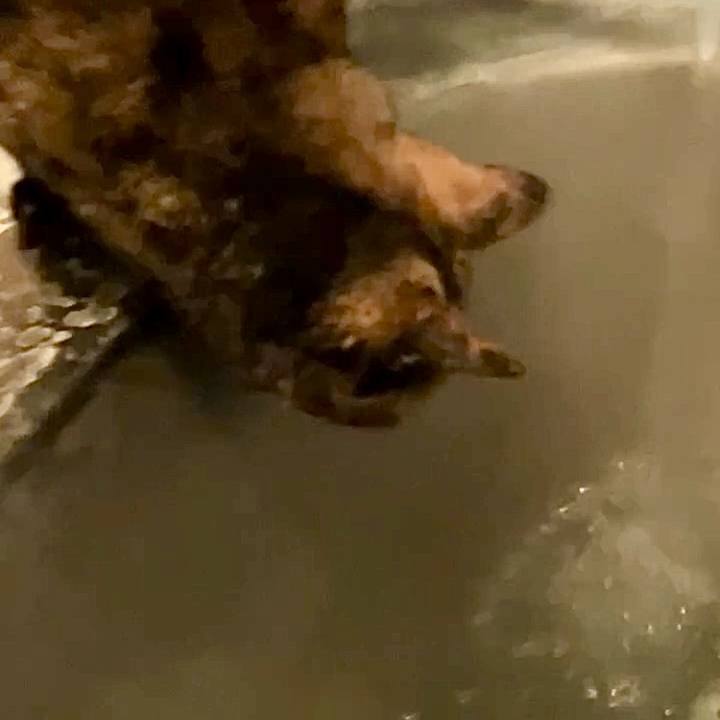 Dded7825 15b3 4cf1 bef7 587cfc8deb9c 1738185106068