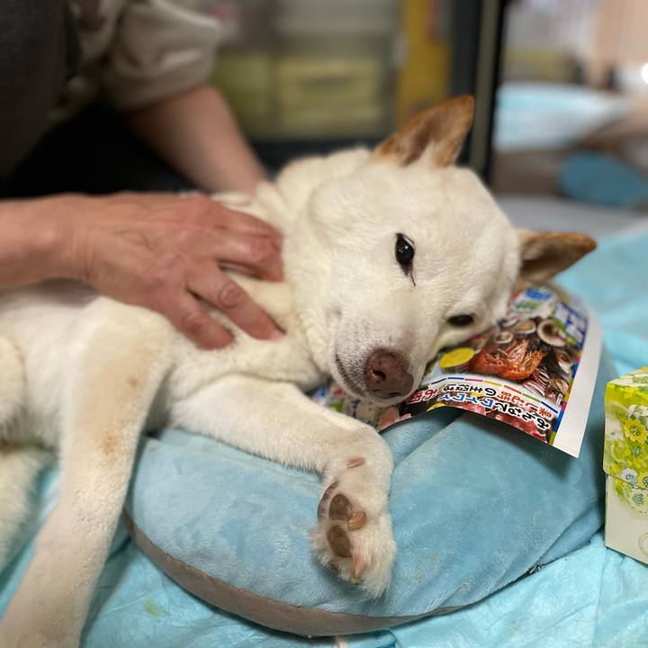 Ddedc337 1437 4ab6 a957 4f3d2ebb0dc0 1652883283865