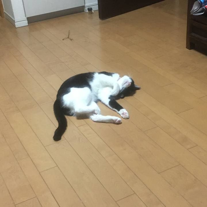 Ddedc6e8 0da3 4582 8767 e0edf4be984f 1595390277107