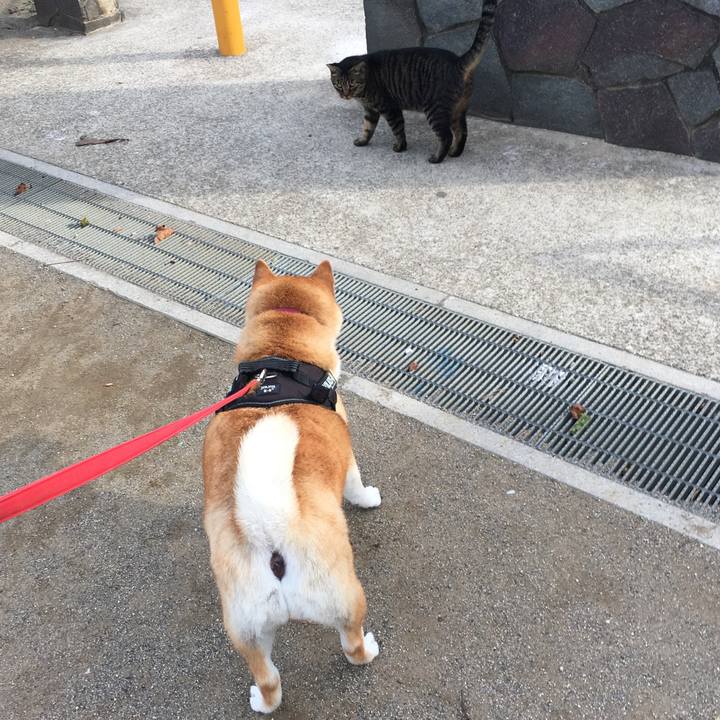 Ddee1a01 5318 42d3 8de9 d57f8ca9f2c0 1613308035921