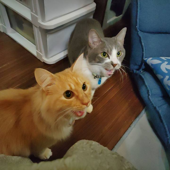 Ddee28a1 1733 4dc9 a160 8b2a90992459 1702595235929