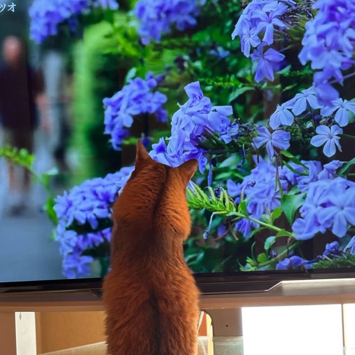 Ddee3350 159c 4de5 804e 7868787eff83 1760099957732