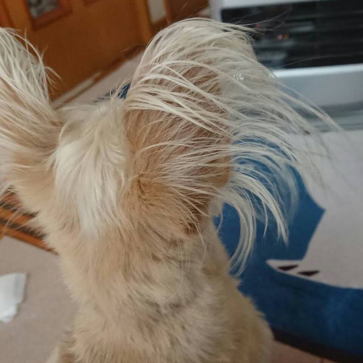 Ddee4f0f 6cf1 483f bd1e 79435bfaee48 1519773766634