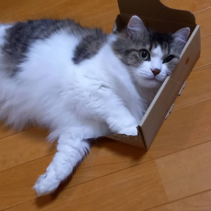 Ddee6e2a d37e 4cc4 8b85 36c7f0516a96 1671105235744