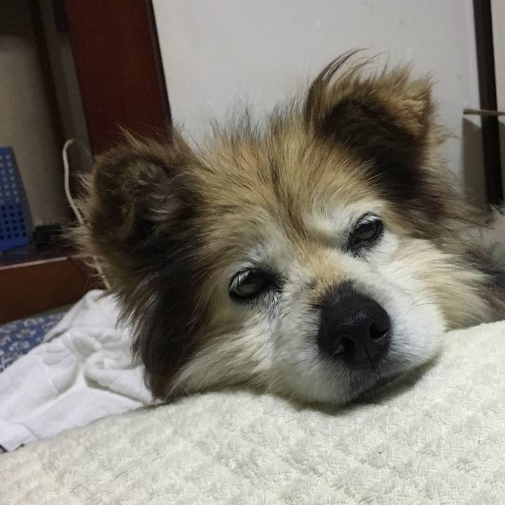 Ddee956e 45ac 4431 9569 bbc9c9d047c0 1625429731499