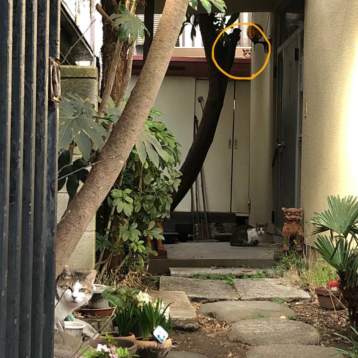 Ddeecfca 7287 47f0 bf36 46096aa1b6cf 1584028153230