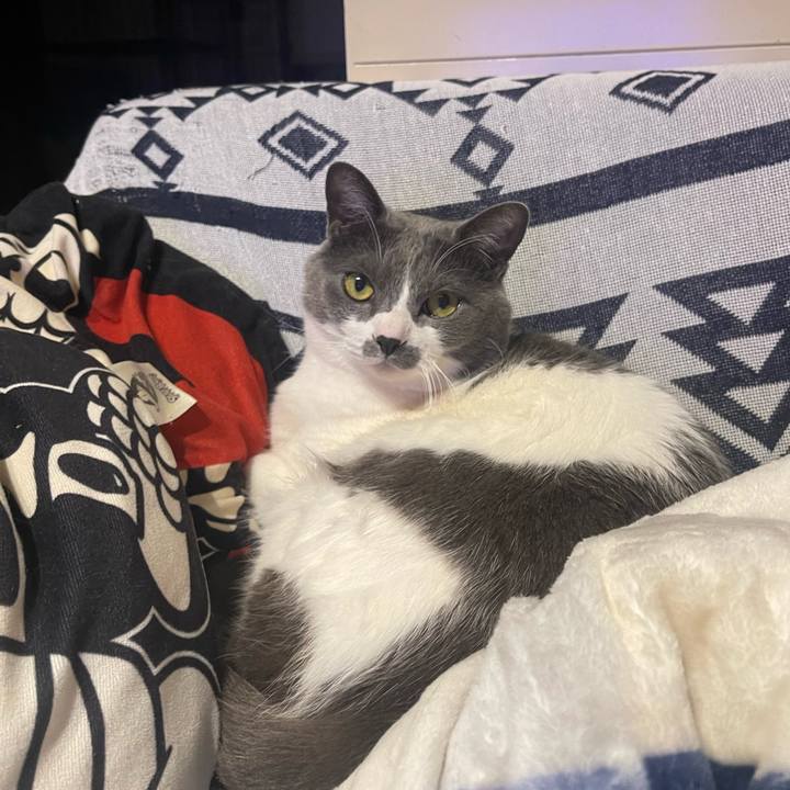 Ddeed5a4 344f 4d50 8d9d 3f1892cc3d70 1677667146225