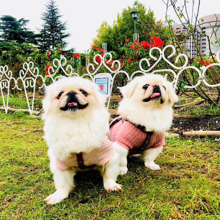 Ddeef6a2 f7d0 4ec3 a359 1894243ebde6 1572138599215