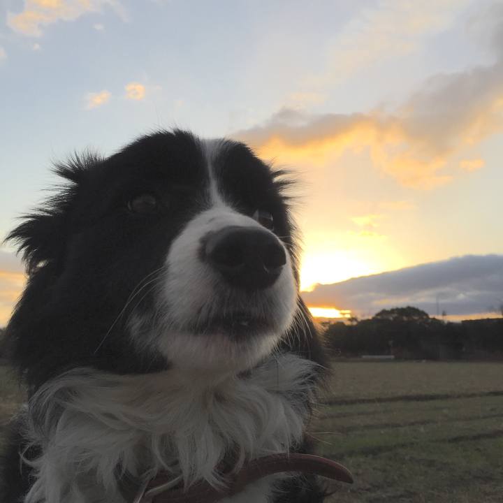 Ddef2904 bbca 4976 8193 d14a9c7c9d83 1516920116320