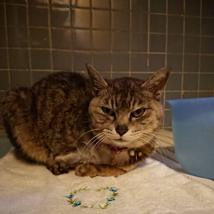 Ddef3e0b 159b 496f a89e 5b950051b789 1593598881555