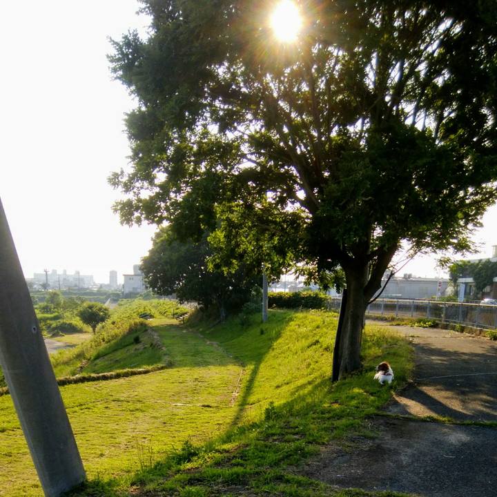 Ddef4a96 0496 47a6 bd93 ed8feddd8b08 1561031826567