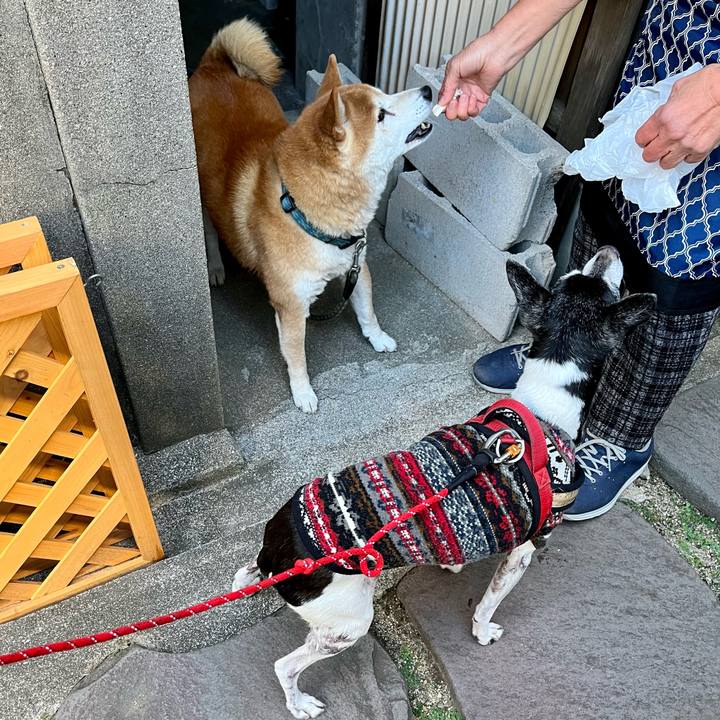 Ddef7dc6 5c21 4656 bc08 41e3420c273c 1637629145139