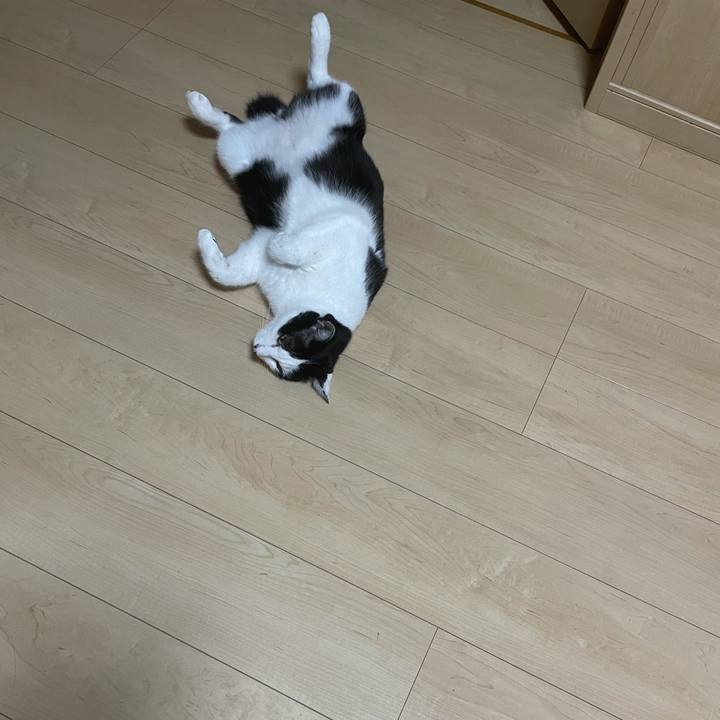 Ddef9d6a a7ca 4bcc b658 44af99dfe8b3 1630064609149