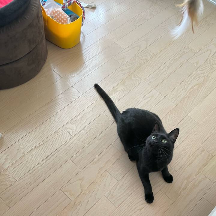 Ddef9fdd b1f6 4c3b 910f 3cac934ff54f 1677925479433