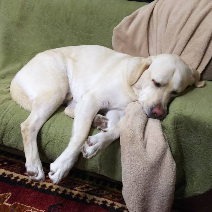 Ddefa191 5895 40ab a7c6 dcca0a86e7a4 1545553537599