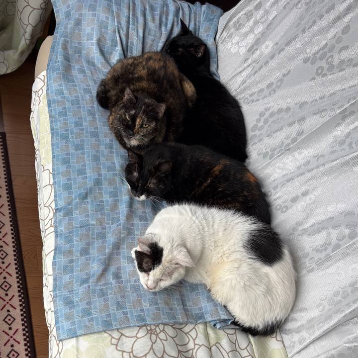 Ddefa58b 525e 4fc8 8ce6 a6b9118ac5ff 1760998912705