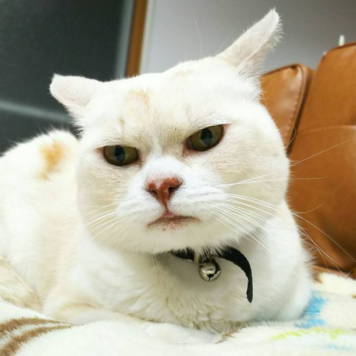 Ddeff08d 47fb 4d17 89b8 307547b0fb99 1525875356215