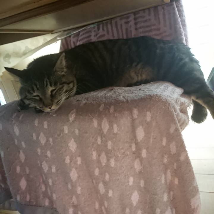 Ddf0045c a8bd 4700 8e0f 53bd622c56ff 1652574268345