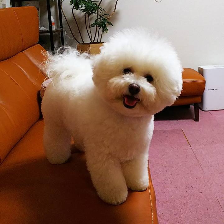 Ddf00fb6 2cd8 436f 846c 9ec12504f1cf 1559305188553