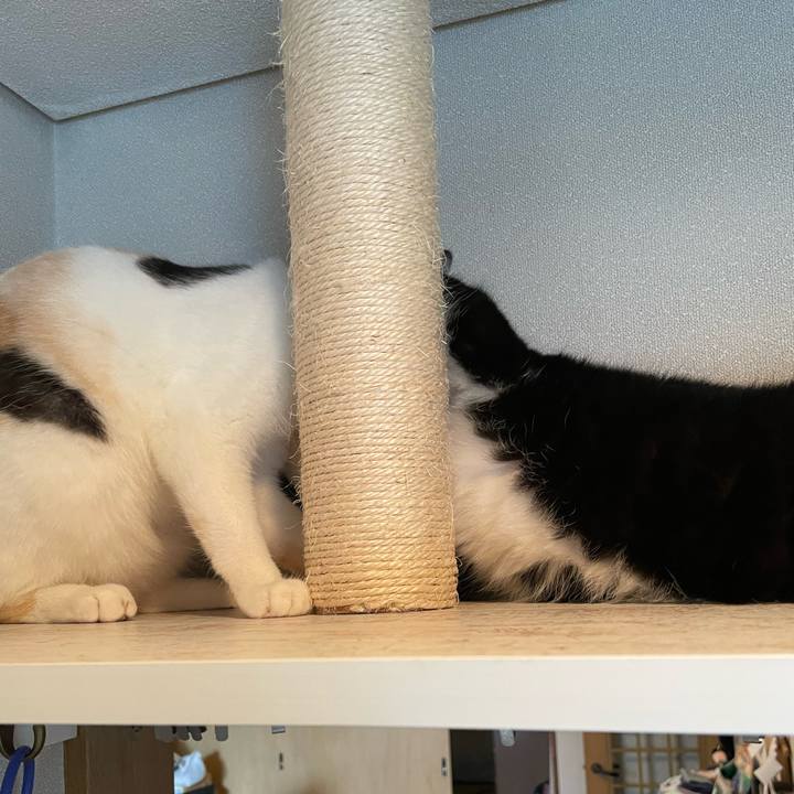 Ddf0223e c66b 421e 89db f260d8969342 1694386830432