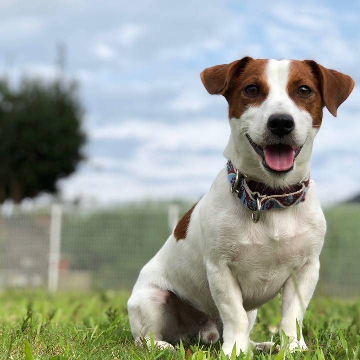 Ddf032a9 6110 46c5 898c fa4633501680 1538728646691