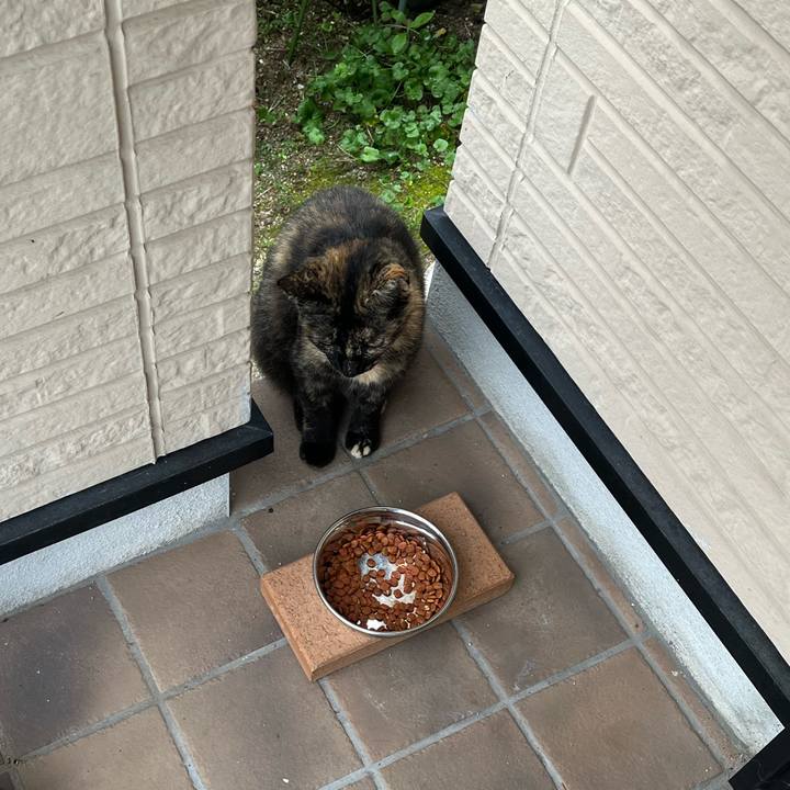 Ddf08d56 4bdb 49e9 9148 eafd776eb414 1750630923985