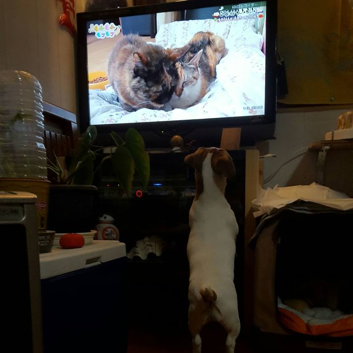 Ddf08d81 3c3b 436c bfff f3500e31ae7c 1556531057441