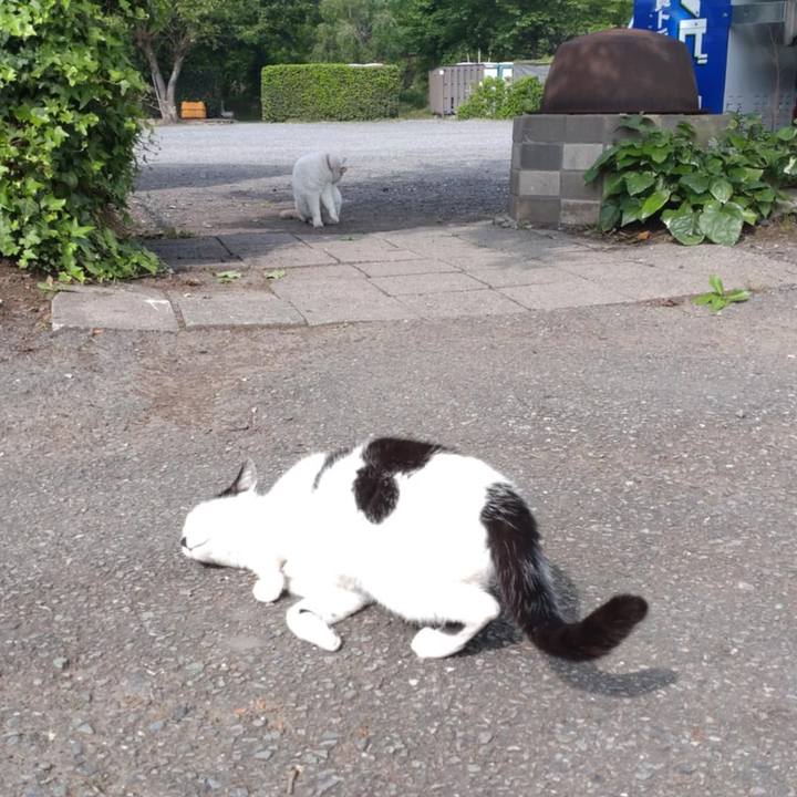 Ddf0ba34 9b0d 48f1 9ba5 586390b87bc9 1747351913312