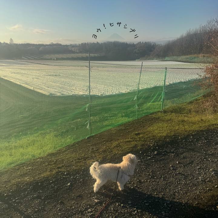 Ddf0bcc6 2c7e 41f9 8a57 73d38e2b553f 1775470910314