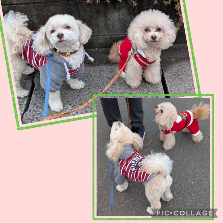 Ddf0e04c a3b8 4806 bf19 07d16e4bf1fe 1766668574096