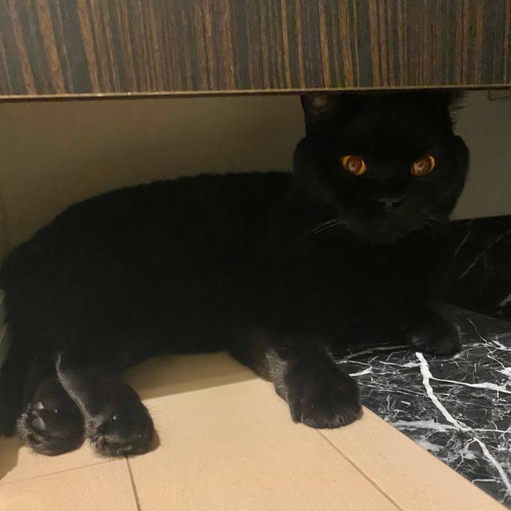 Ddf0f385 704f 42e4 ab7c 7d30ec5f4d8a 1663767177122