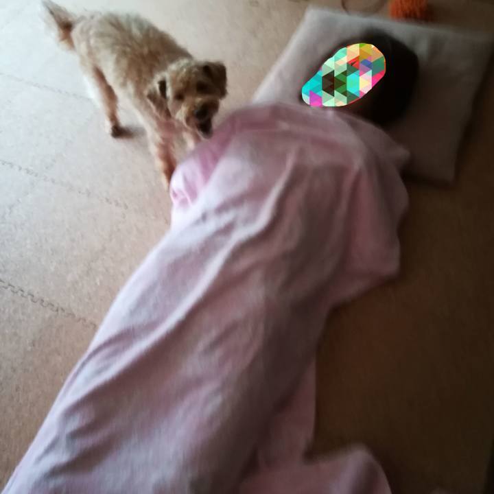 Ddf12f80 31fb 43ba b4ff acad7efb77d7 1566089491500